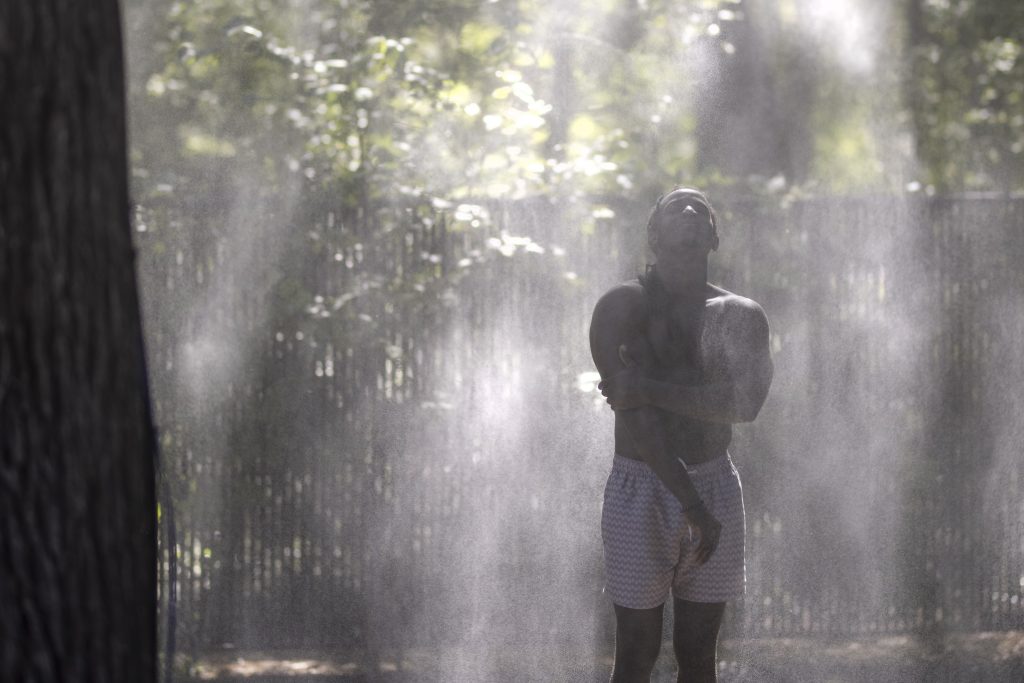 man enjoying the forest mist