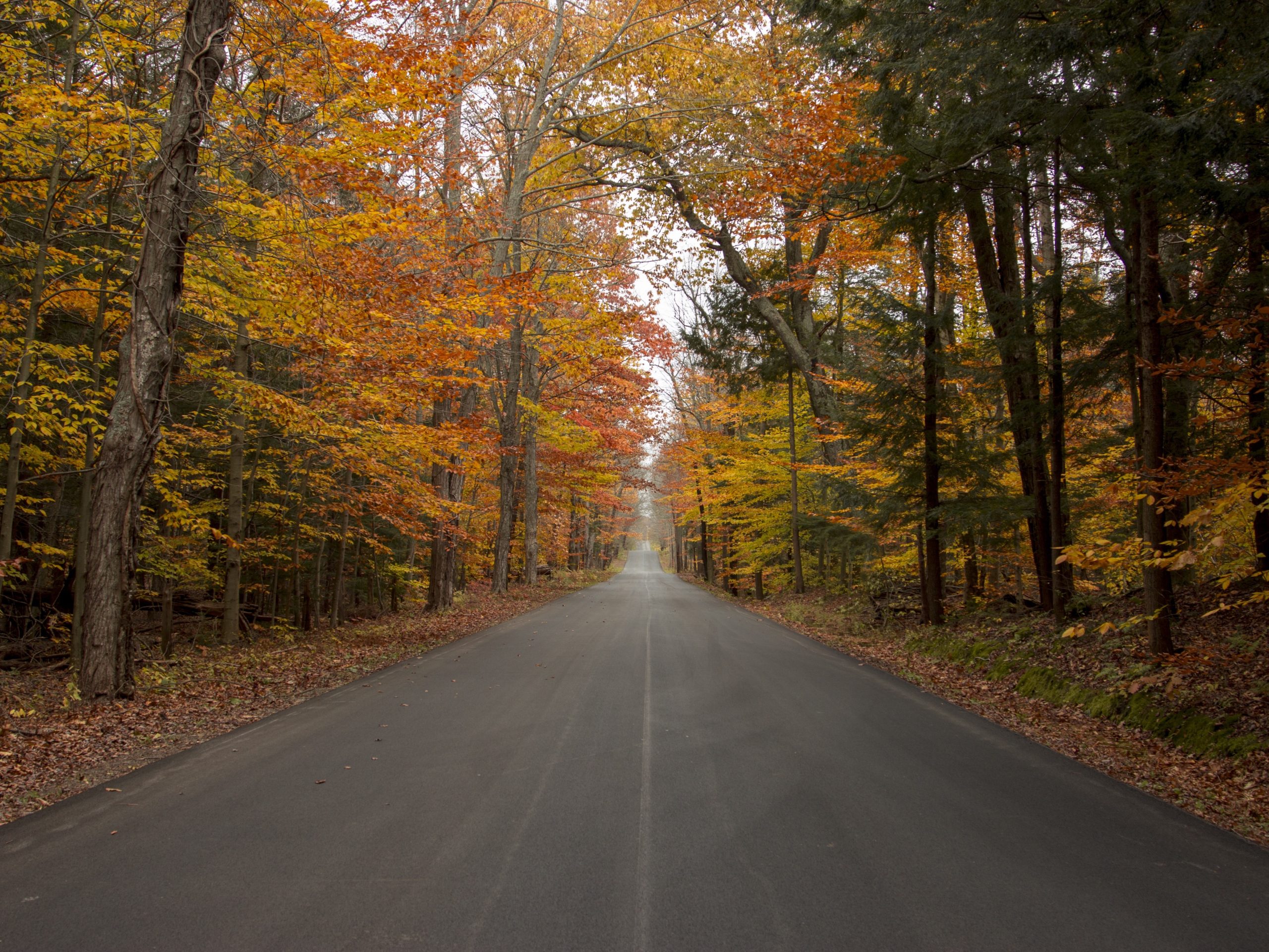 5 Great Fall Hikes Near Winnipeg